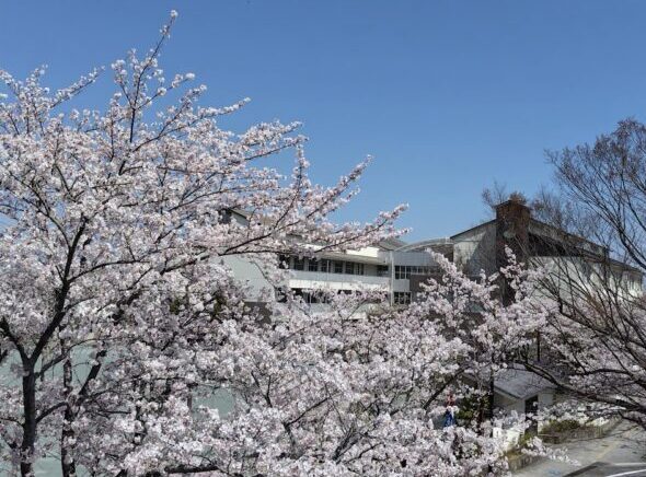 亀山西小学校