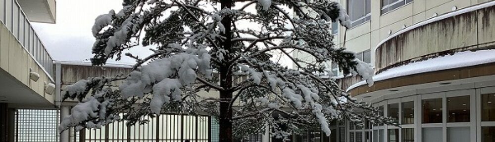 亀山市立亀山西小学校