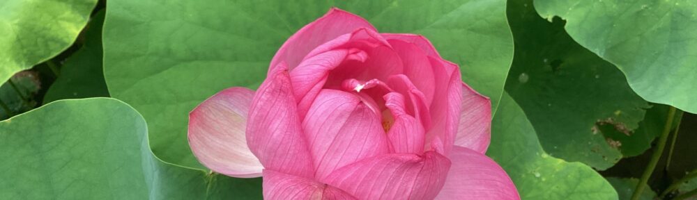 亀山市立野登小学校